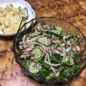 サバ缶と玉ねぎの健康サラダ